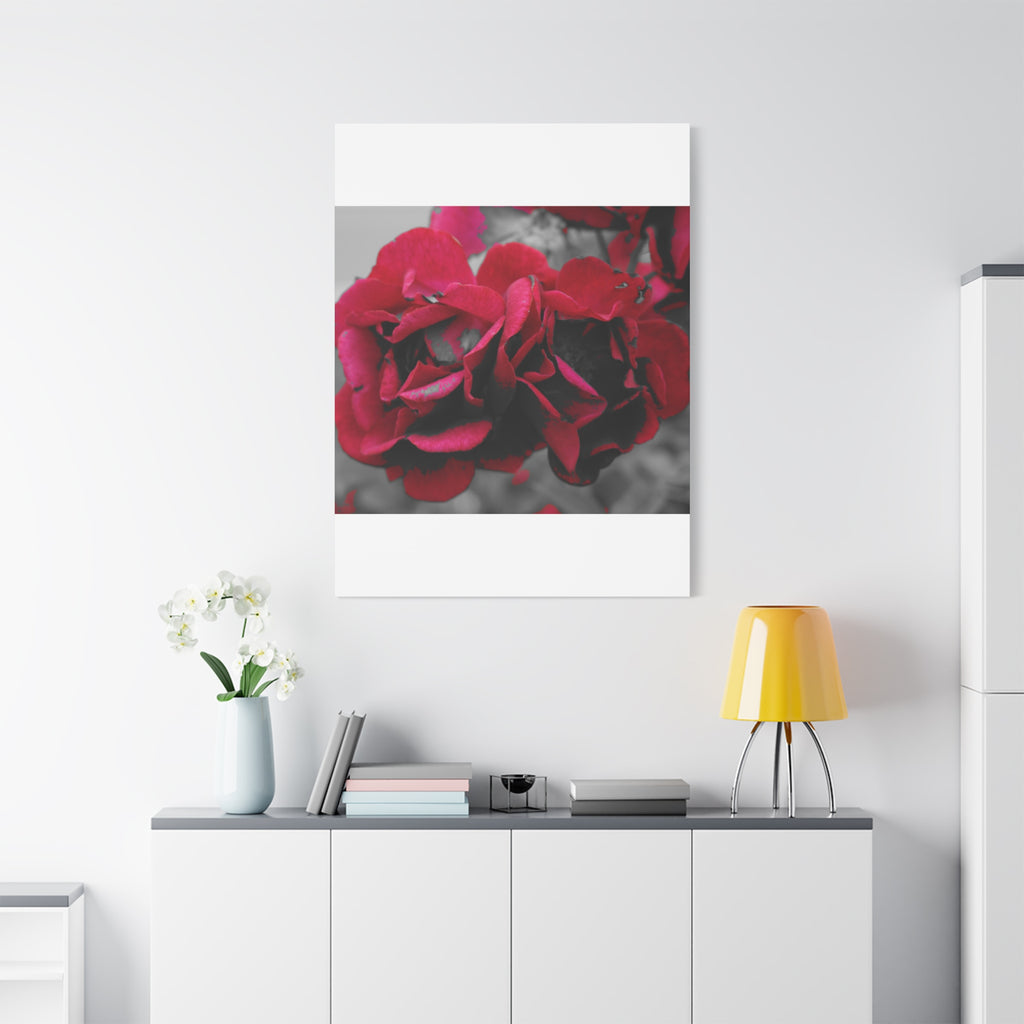Red Rose Close-Up Matte Canvas Wall Art – Romantic Floral Stretched Canvas