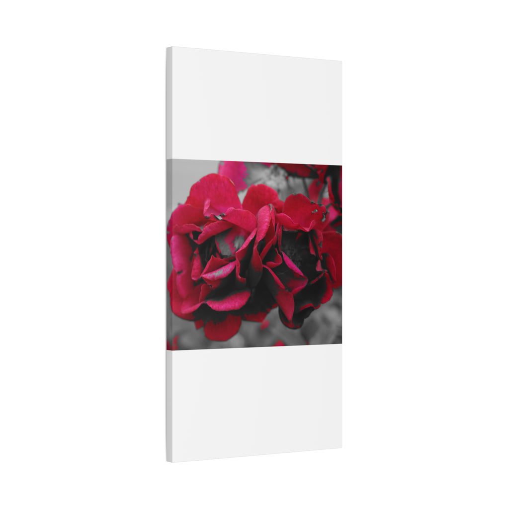 Red Rose Close-Up Matte Canvas Wall Art – Romantic Floral Stretched Canvas