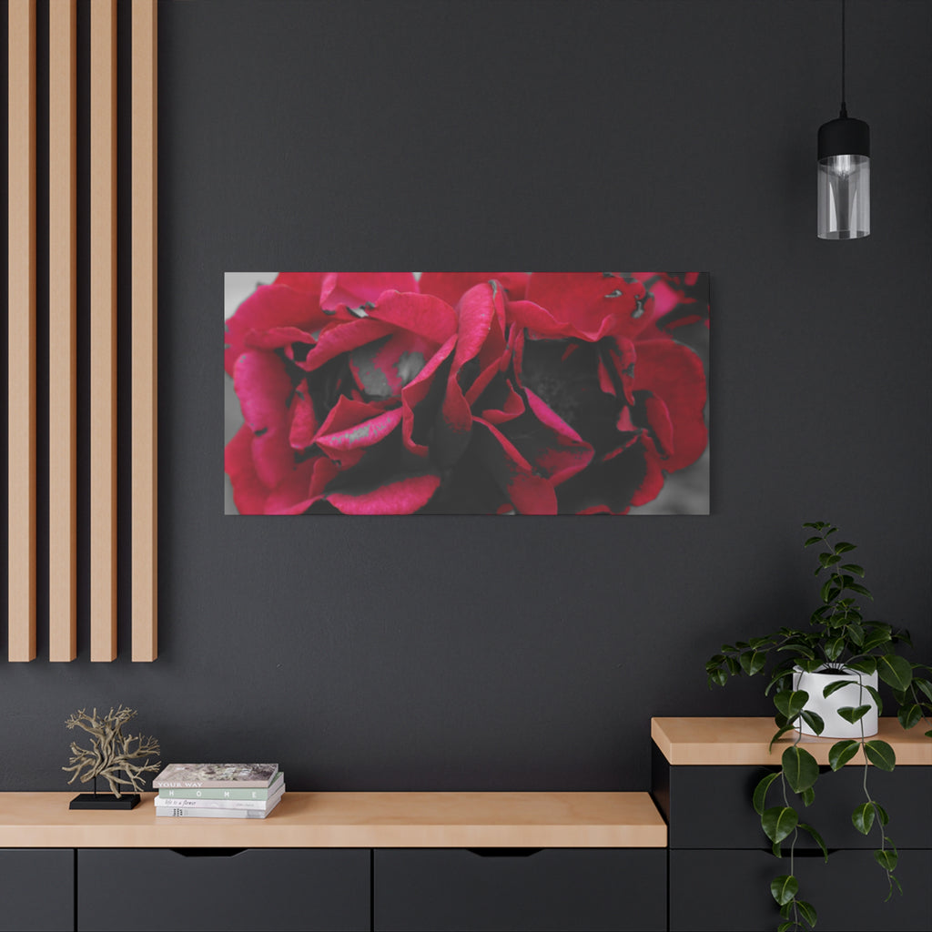 Red Rose Close-Up Matte Canvas Wall Art – Romantic Floral Stretched Canvas
