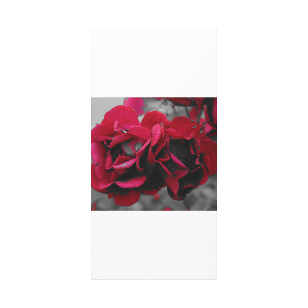 Red Rose Close-Up Matte Canvas Wall Art – Romantic Floral Stretched Canvas