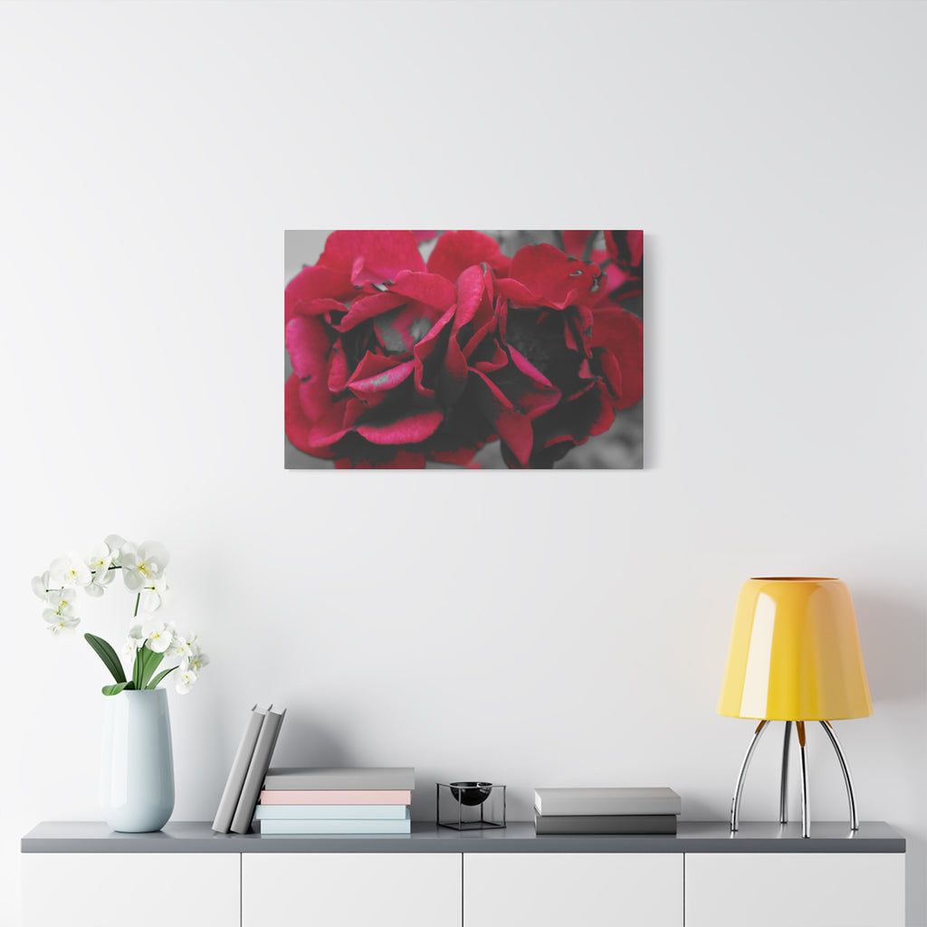 Red Rose Close-Up Matte Canvas Wall Art – Romantic Floral Stretched Canvas