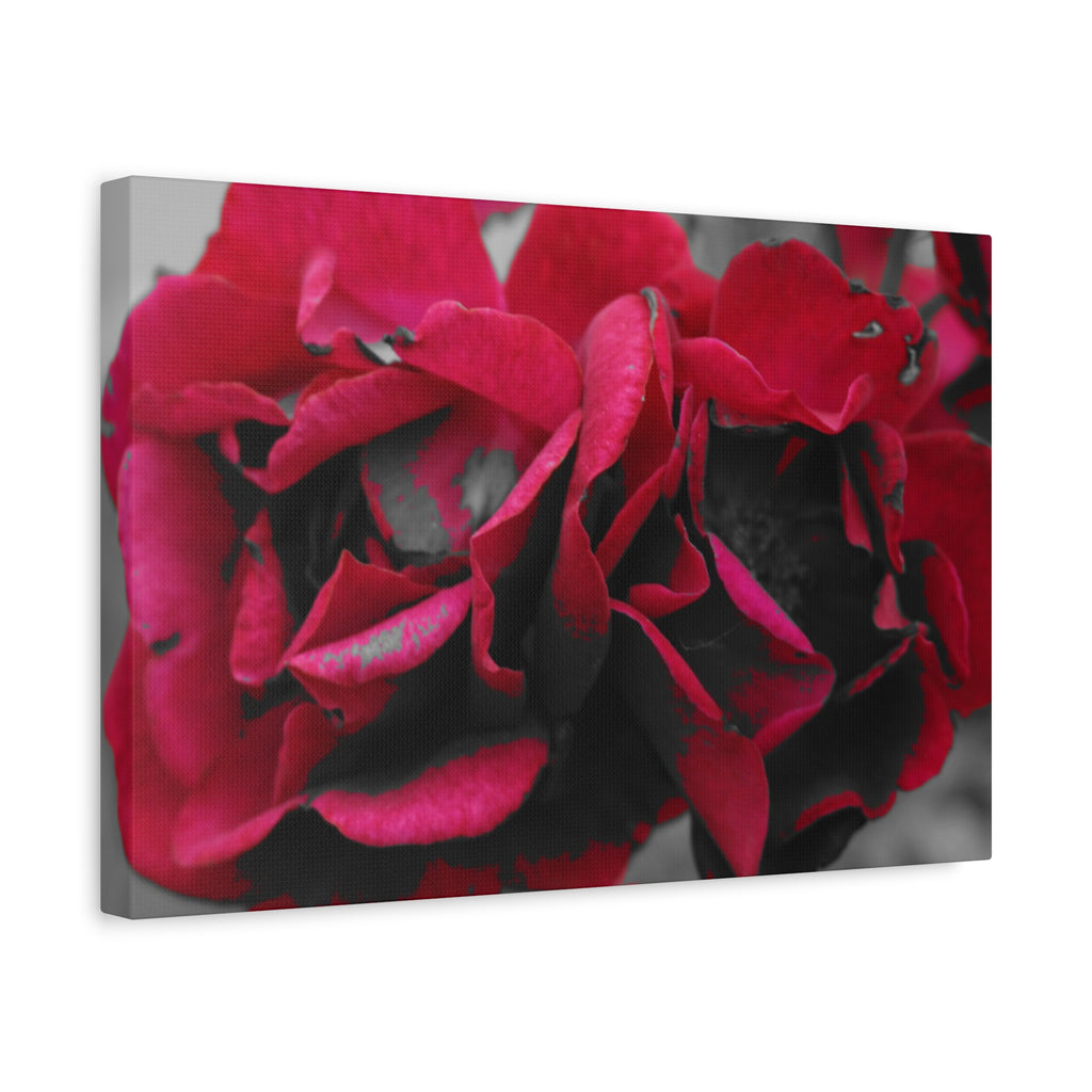 Red Rose Close-Up Matte Canvas Wall Art – Romantic Floral Stretched Canvas