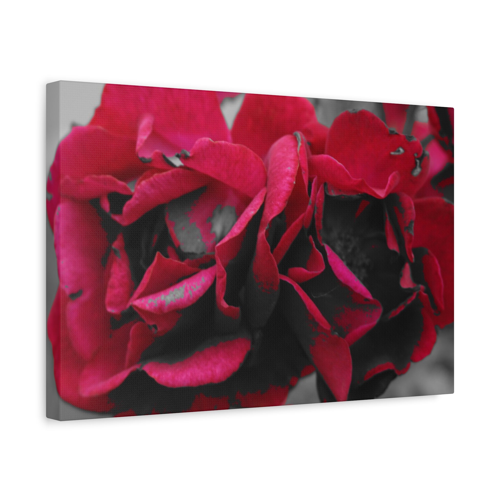 Red Rose Close-Up Matte Canvas Wall Art – Romantic Floral Stretched Canvas