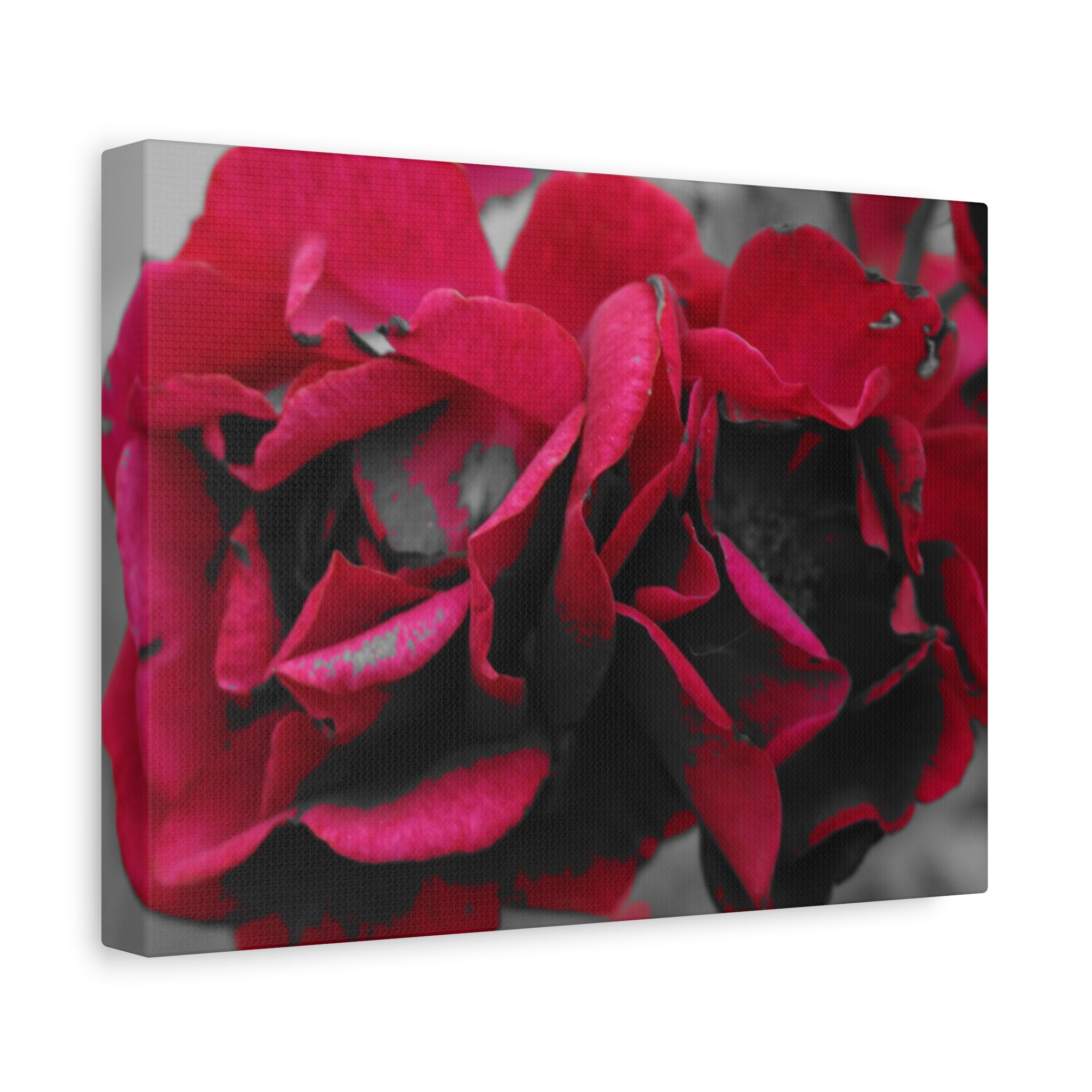 Red Rose Close-Up Matte Canvas Wall Art – Romantic Floral Stretched Canvas
