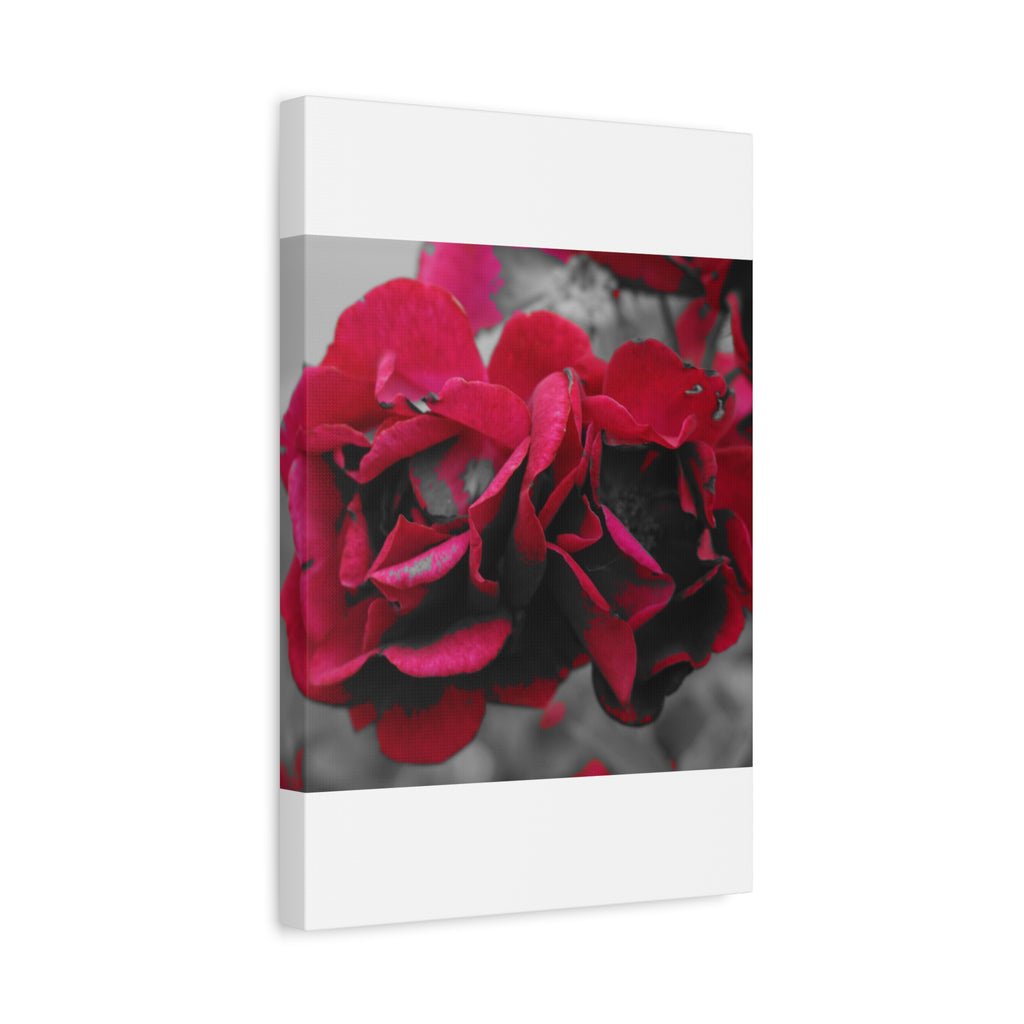 Red Rose Close-Up Matte Canvas Wall Art – Romantic Floral Stretched Canvas