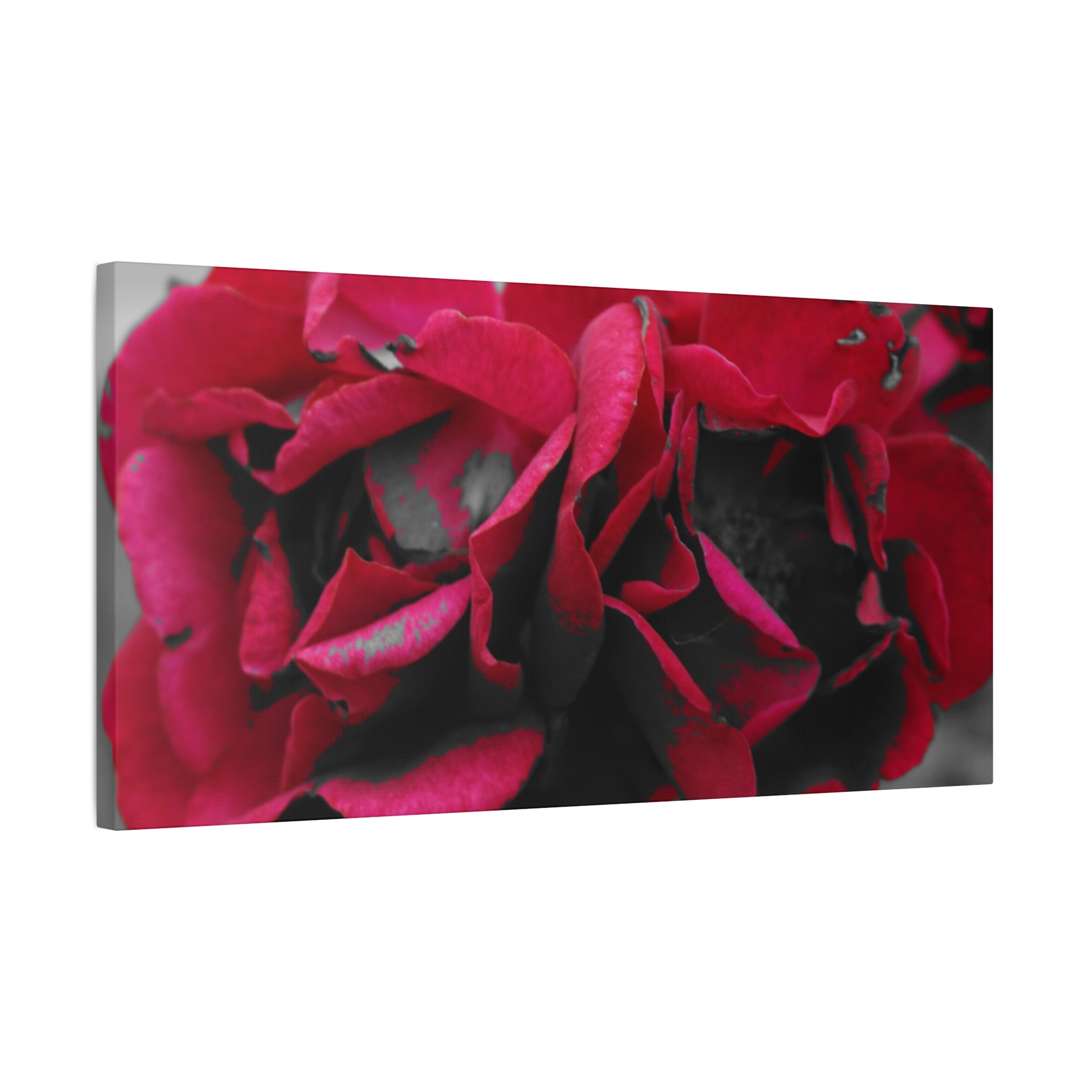 Red Rose Close-Up Matte Canvas Wall Art – Romantic Floral Stretched Canvas