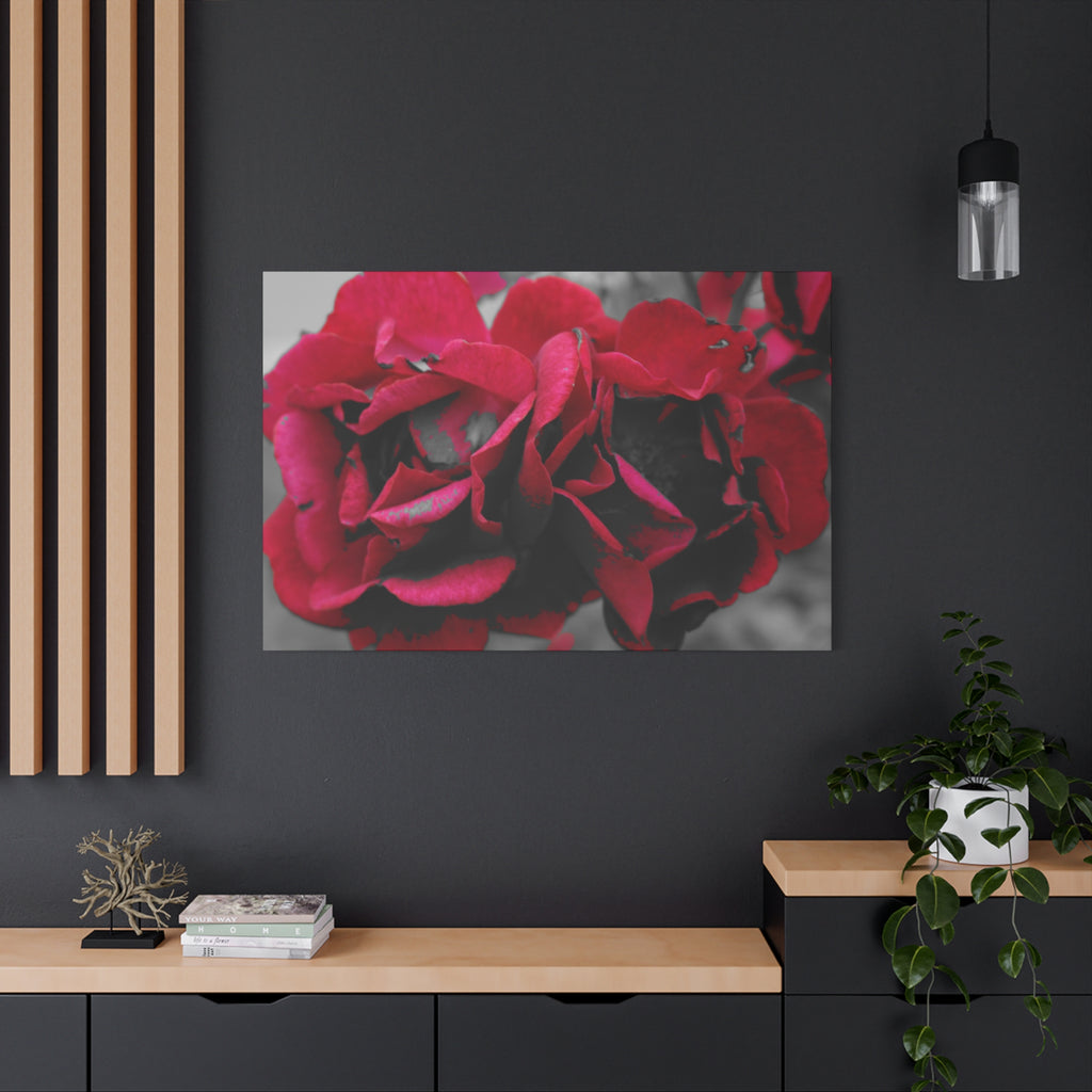 Red Rose Close-Up Matte Canvas Wall Art – Romantic Floral Stretched Canvas