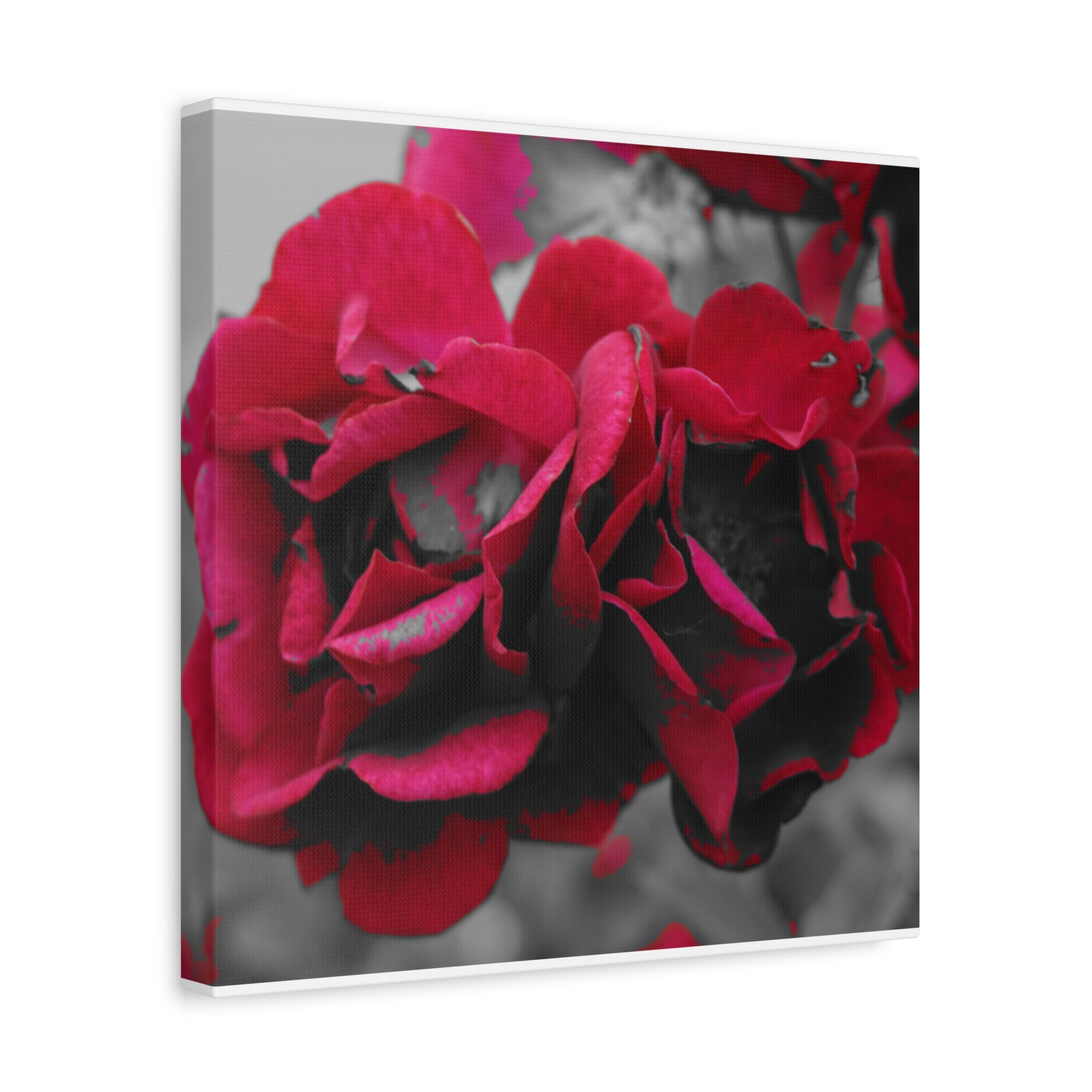 Red Rose Close-Up Matte Canvas Wall Art – Romantic Floral Stretched Canvas
