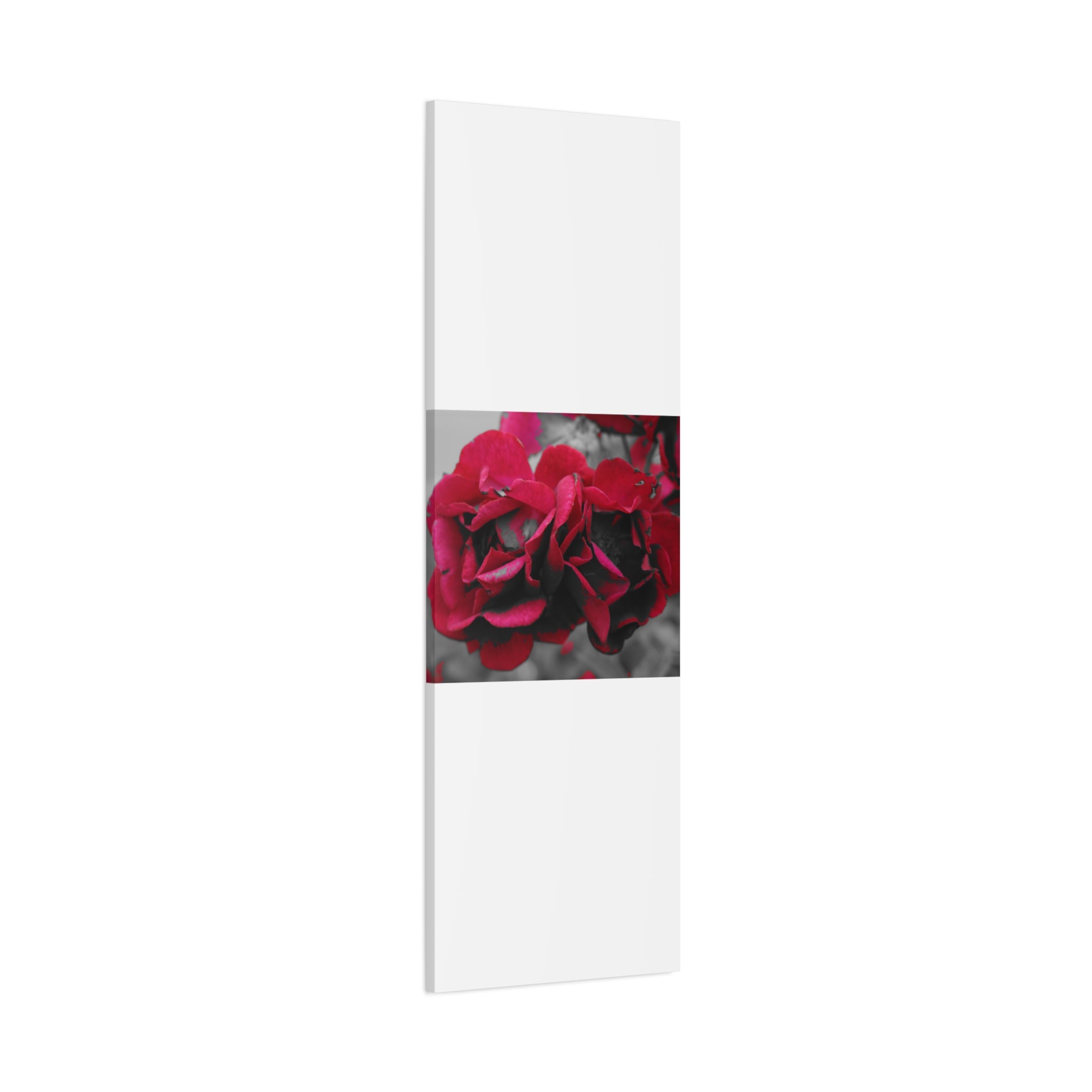 Red Rose Close-Up Matte Canvas Wall Art – Romantic Floral Stretched Canvas