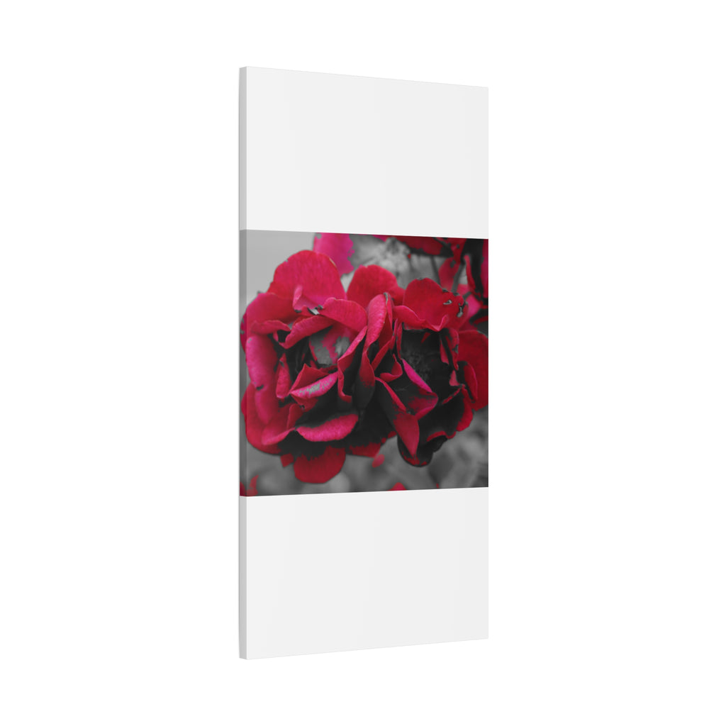 Red Rose Close-Up Matte Canvas Wall Art – Romantic Floral Stretched Canvas