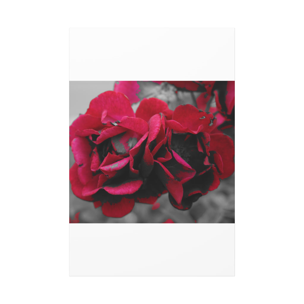 Red Rose Close-Up Matte Canvas Wall Art – Romantic Floral Stretched Canvas