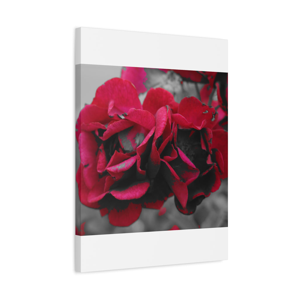 Red Rose Close-Up Matte Canvas Wall Art – Romantic Floral Stretched Canvas