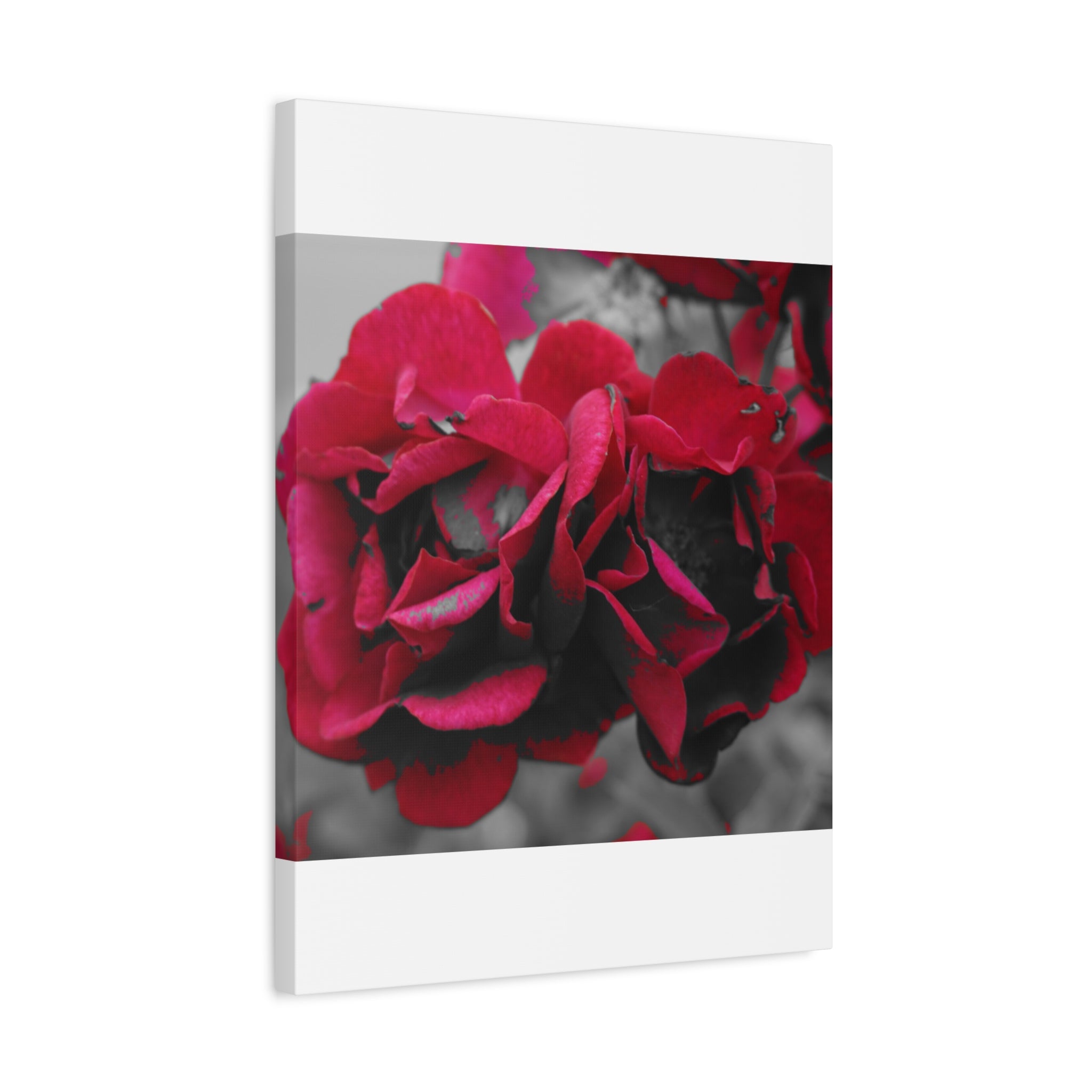 Red Rose Close-Up Matte Canvas Wall Art – Romantic Floral Stretched Canvas