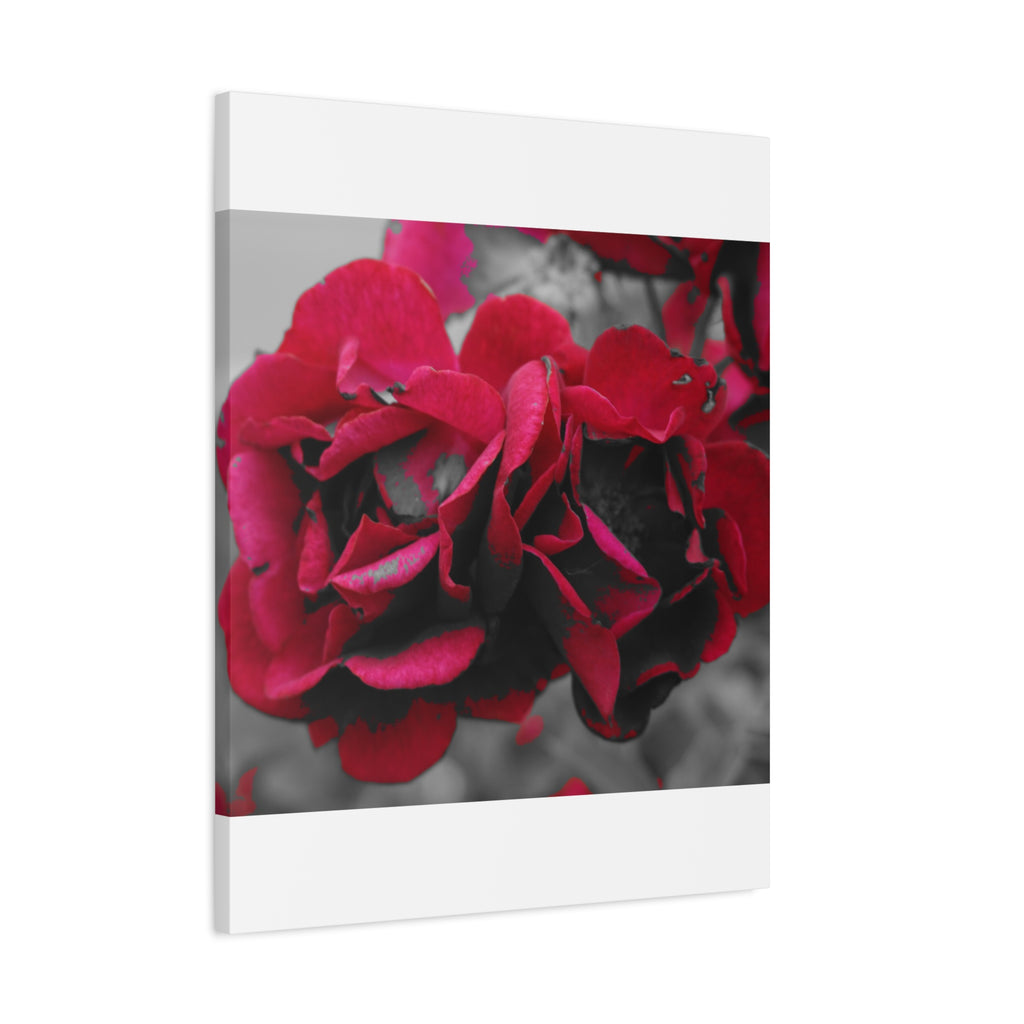 Red Rose Close-Up Matte Canvas Wall Art – Romantic Floral Stretched Canvas