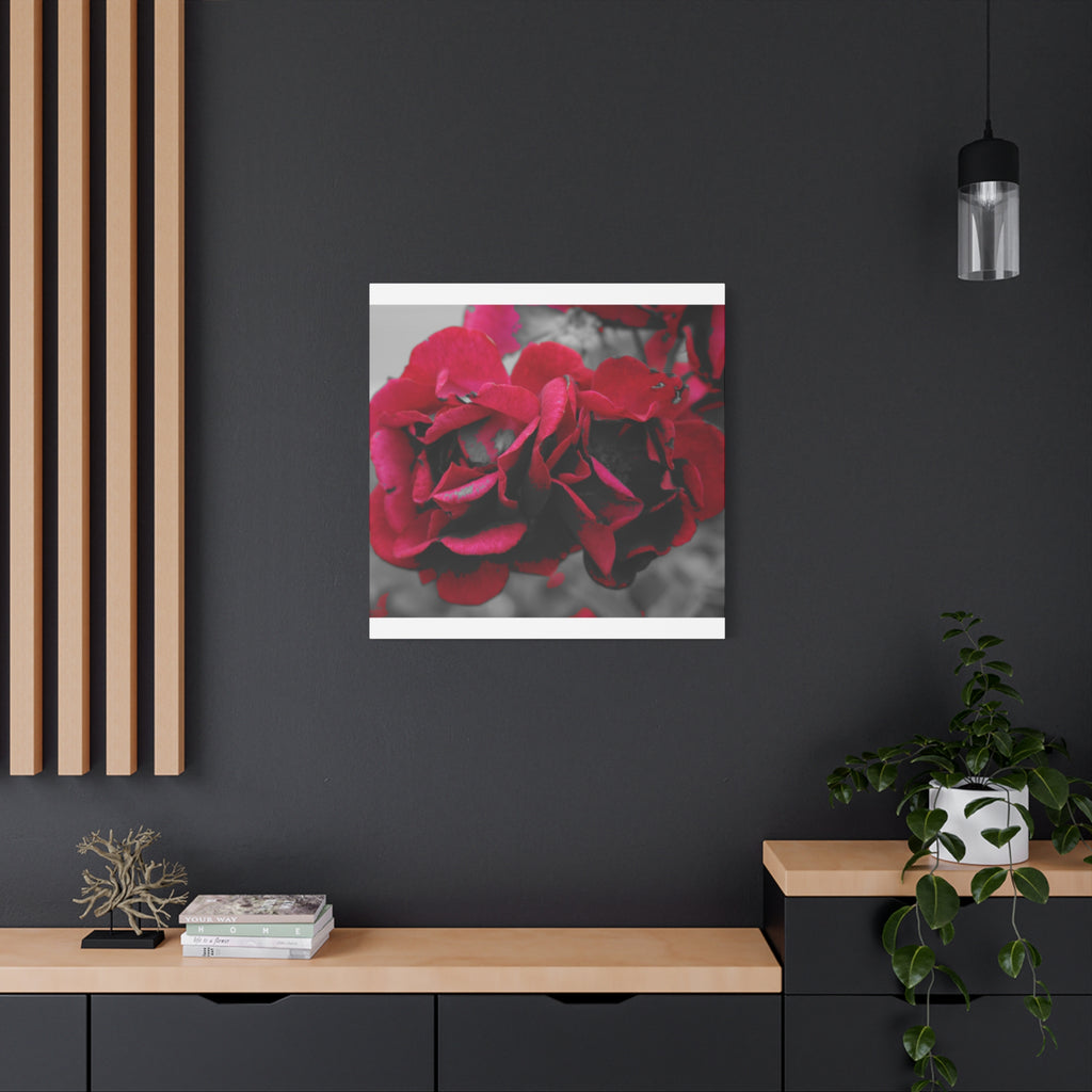 Red Rose Close-Up Matte Canvas Wall Art – Romantic Floral Stretched Canvas