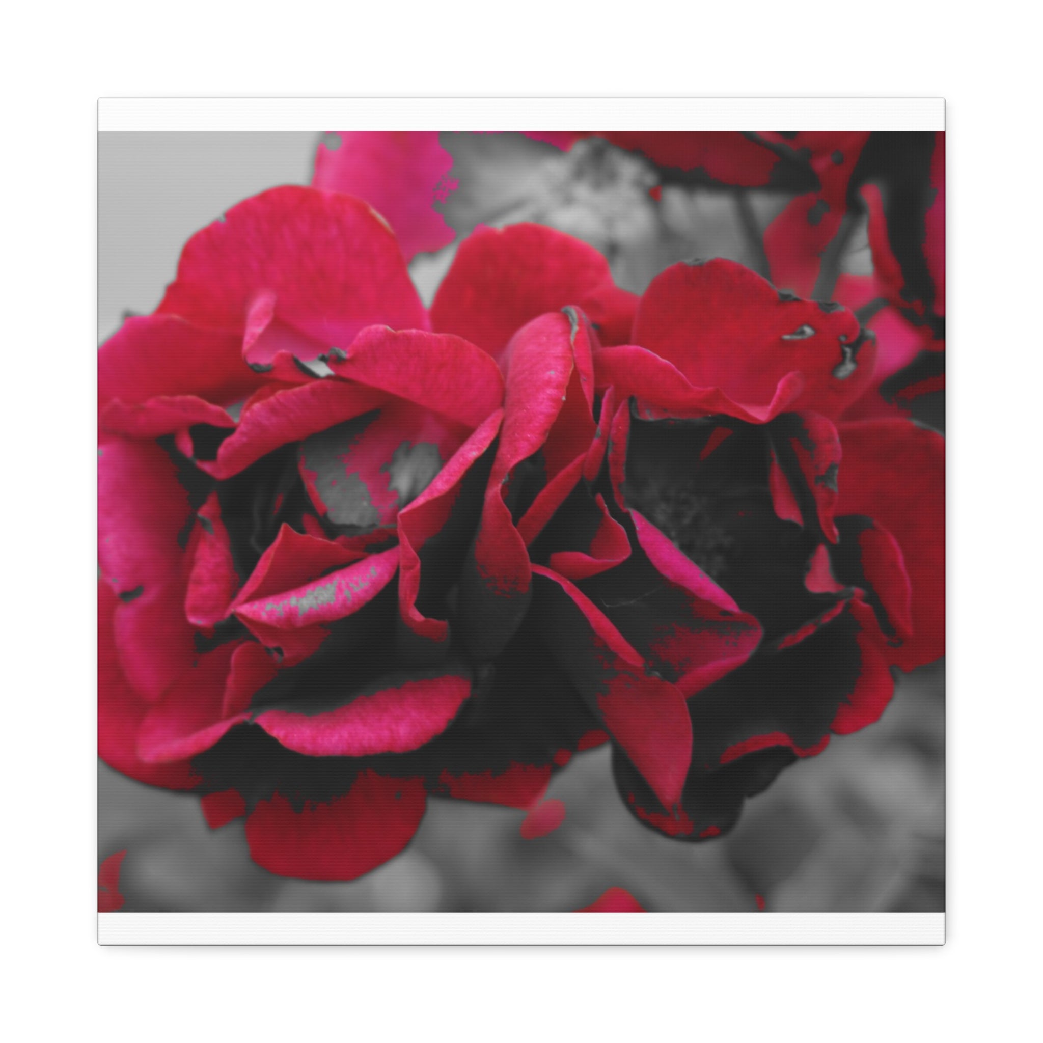 Red Rose Close-Up Matte Canvas Wall Art – Romantic Floral Stretched Canvas