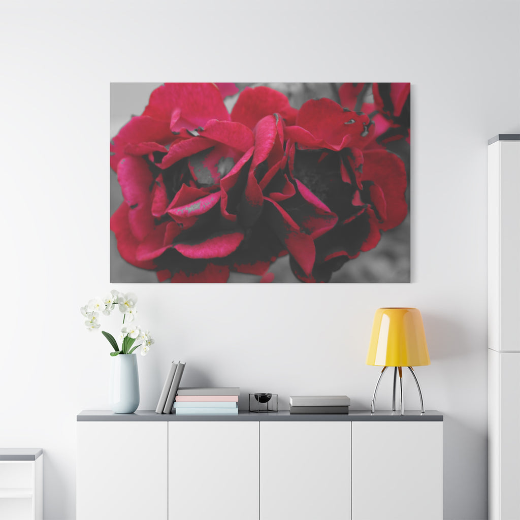 Red Rose Close-Up Matte Canvas Wall Art – Romantic Floral Stretched Canvas
