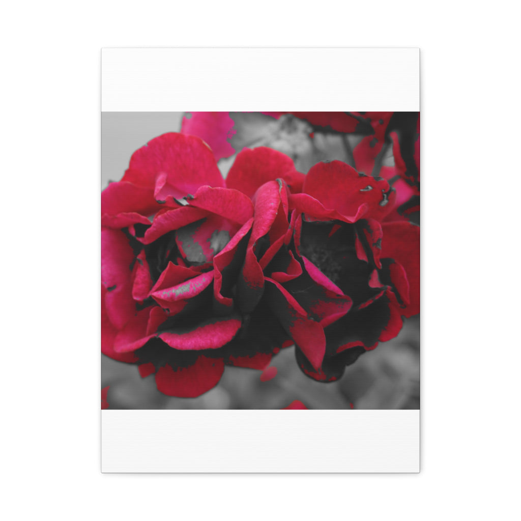 Red Rose Close-Up Matte Canvas Wall Art – Romantic Floral Stretched Canvas