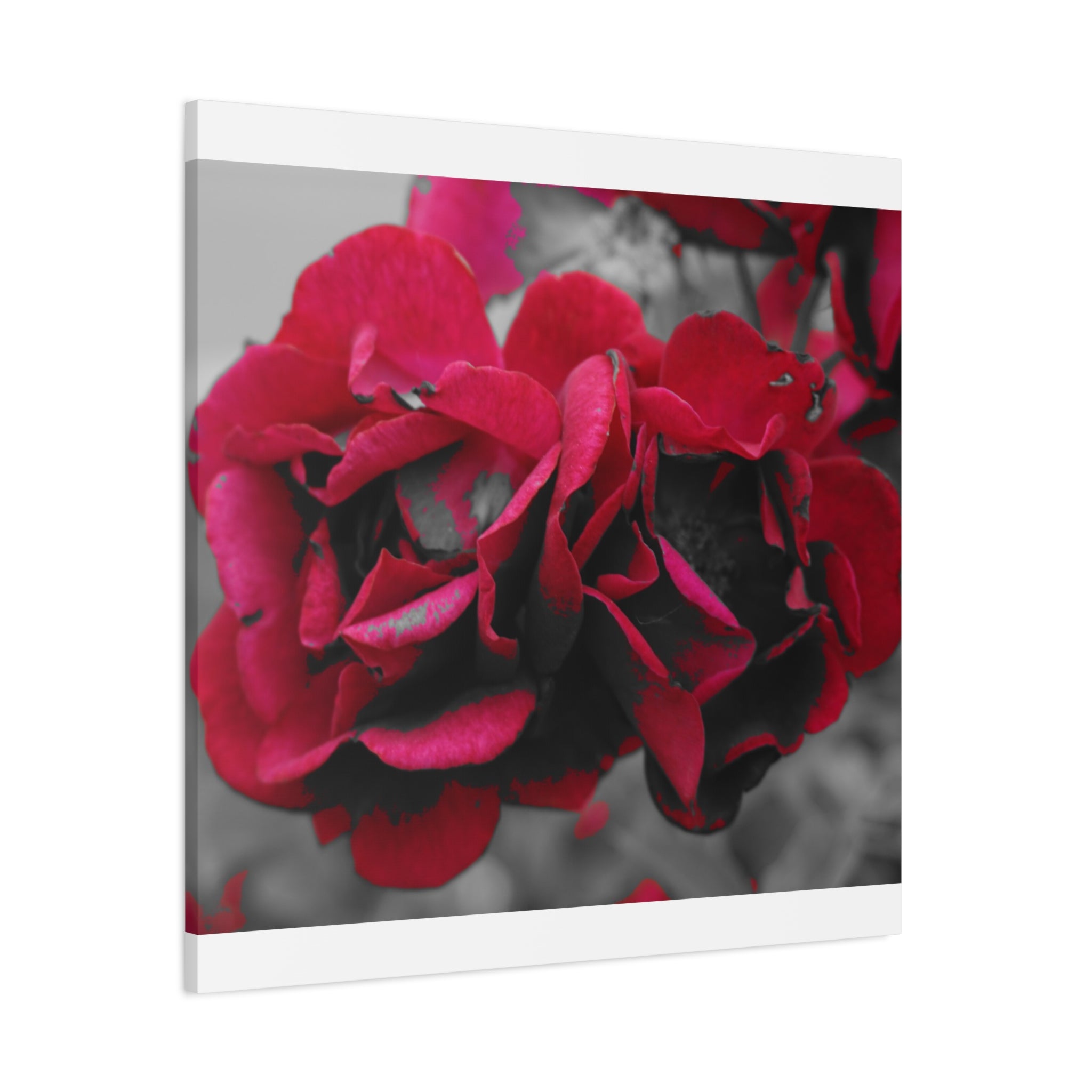 Red Rose Close-Up Matte Canvas Wall Art – Romantic Floral Stretched Canvas