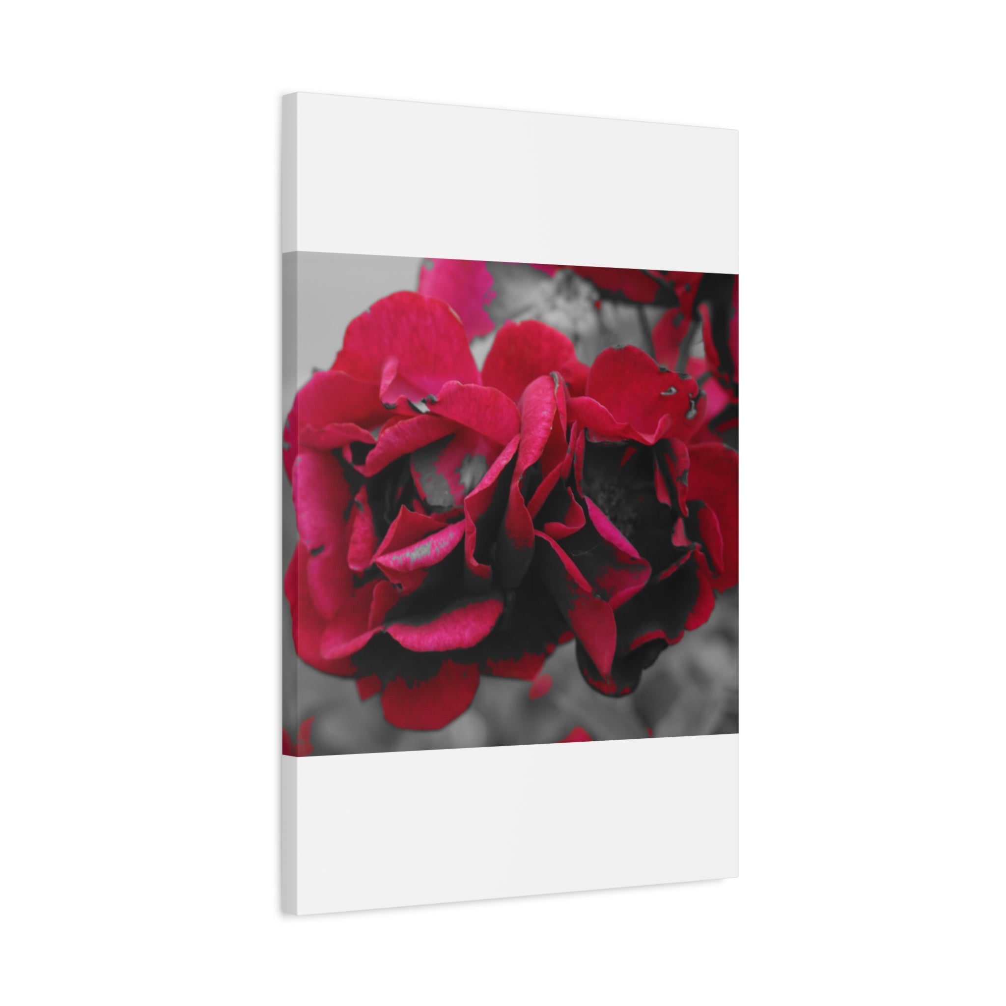 Red Rose Close-Up Matte Canvas Wall Art – Romantic Floral Stretched Canvas