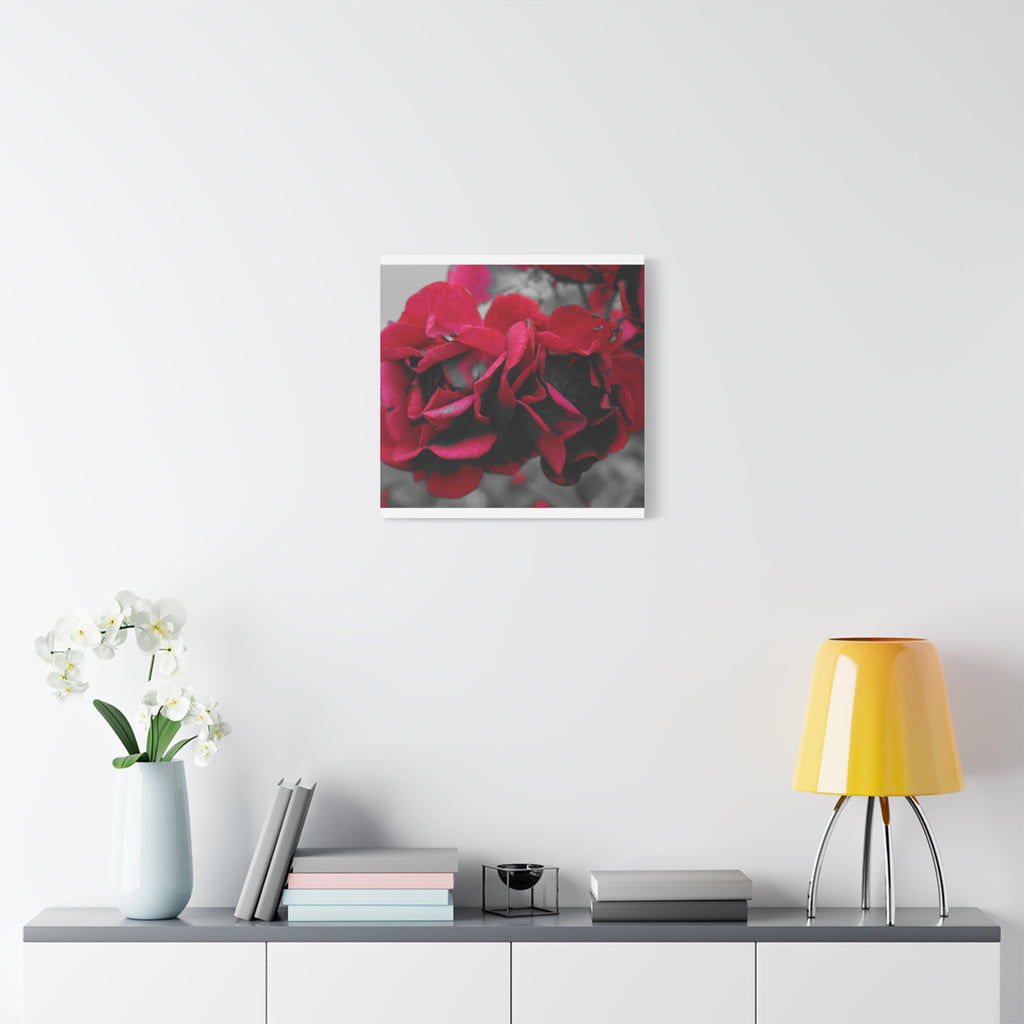 Red Rose Close-Up Matte Canvas Wall Art – Romantic Floral Stretched Canvas