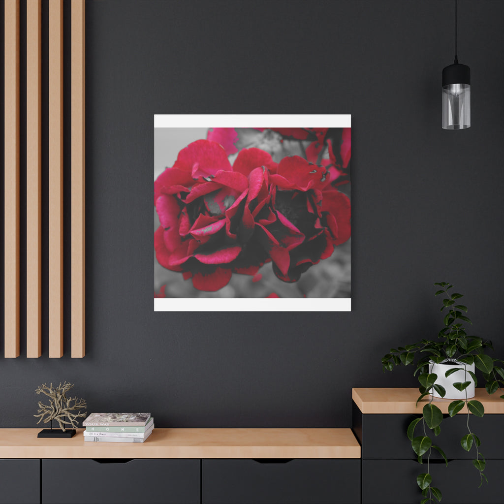 Red Rose Close-Up Matte Canvas Wall Art – Romantic Floral Stretched Canvas