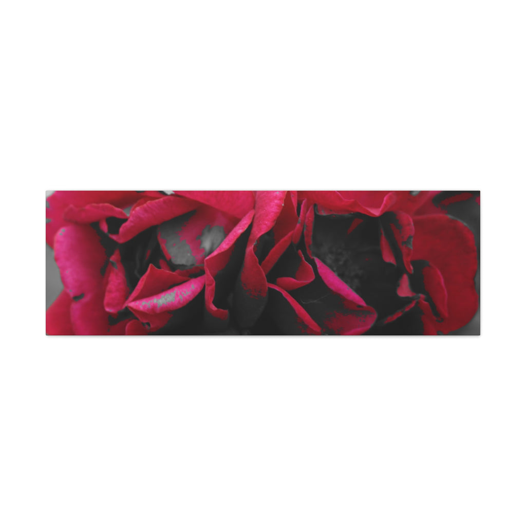 Red Rose Close-Up Matte Canvas Wall Art – Romantic Floral Stretched Canvas