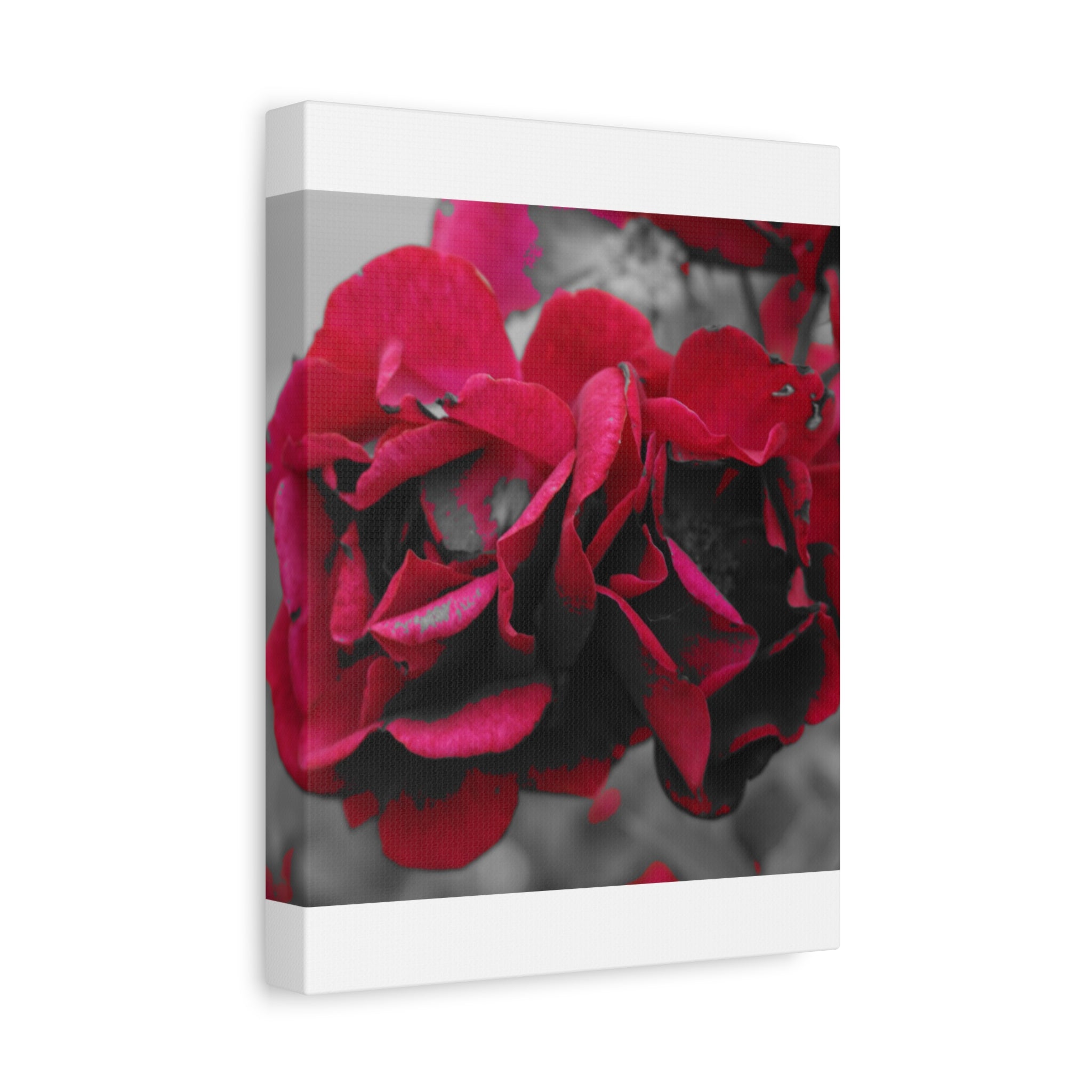 Red Rose Close-Up Matte Canvas Wall Art – Romantic Floral Stretched Canvas
