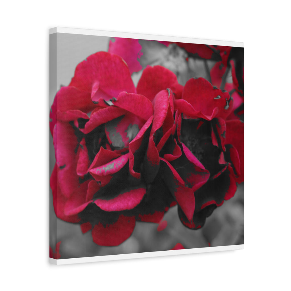 Red Rose Close-Up Matte Canvas Wall Art – Romantic Floral Stretched Canvas