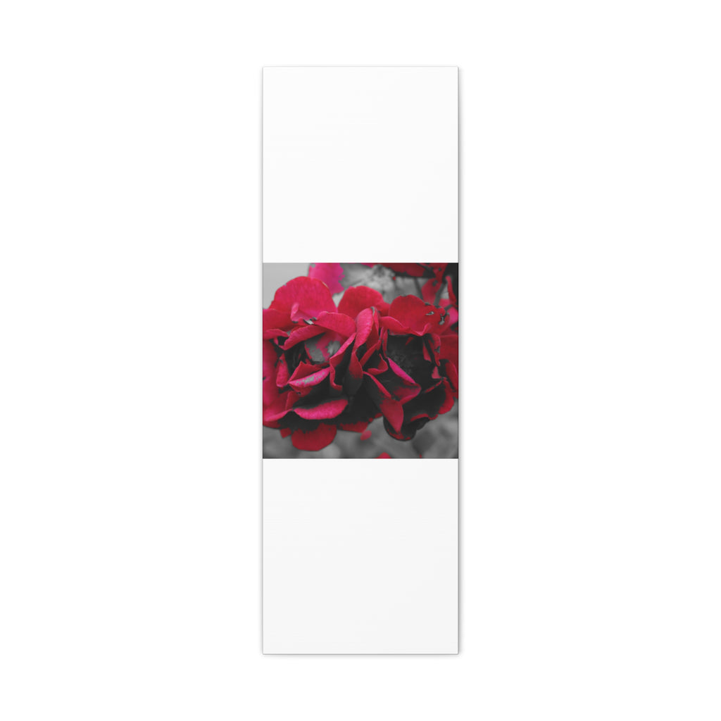 Red Rose Close-Up Matte Canvas Wall Art – Romantic Floral Stretched Canvas