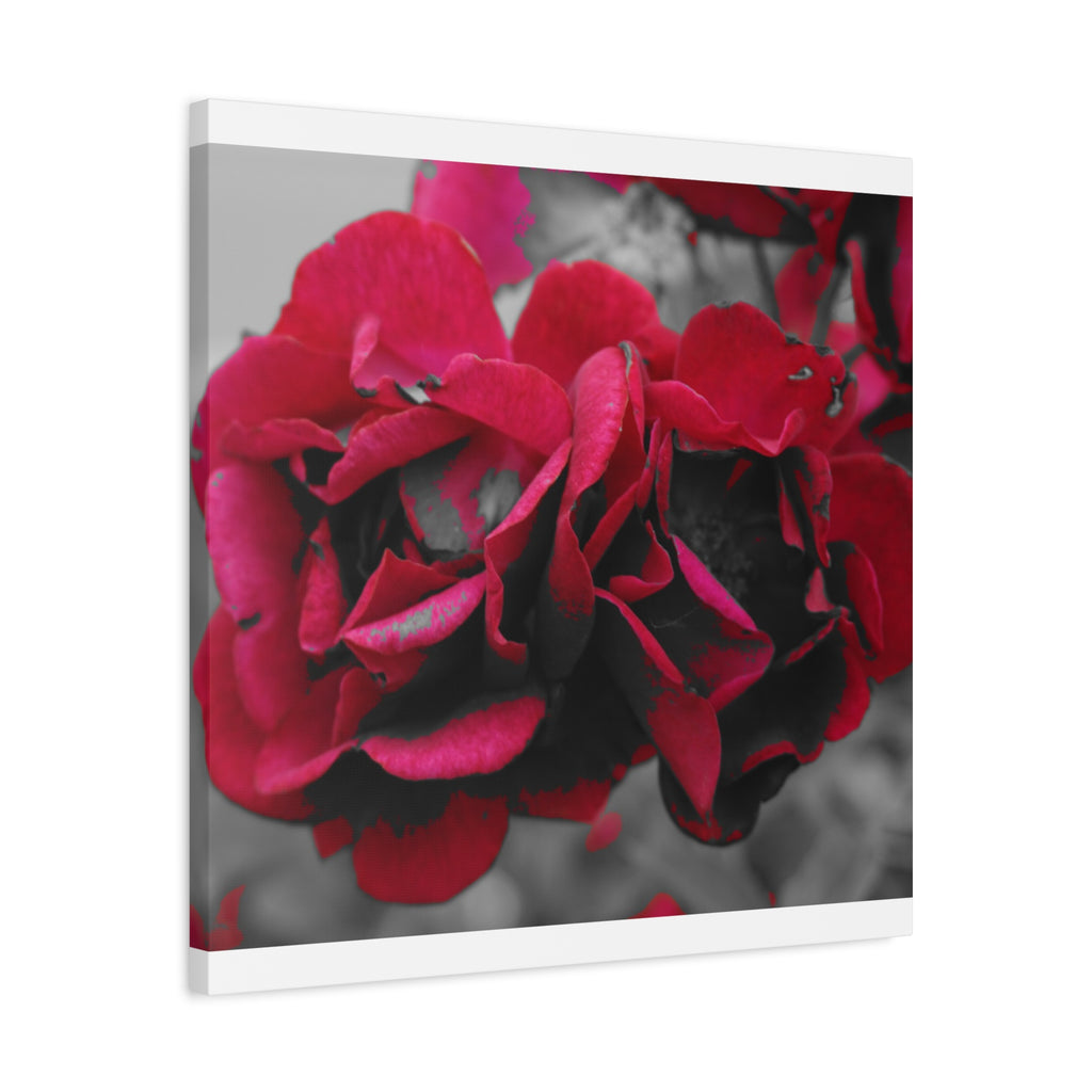 Red Rose Close-Up Matte Canvas Wall Art – Romantic Floral Stretched Canvas