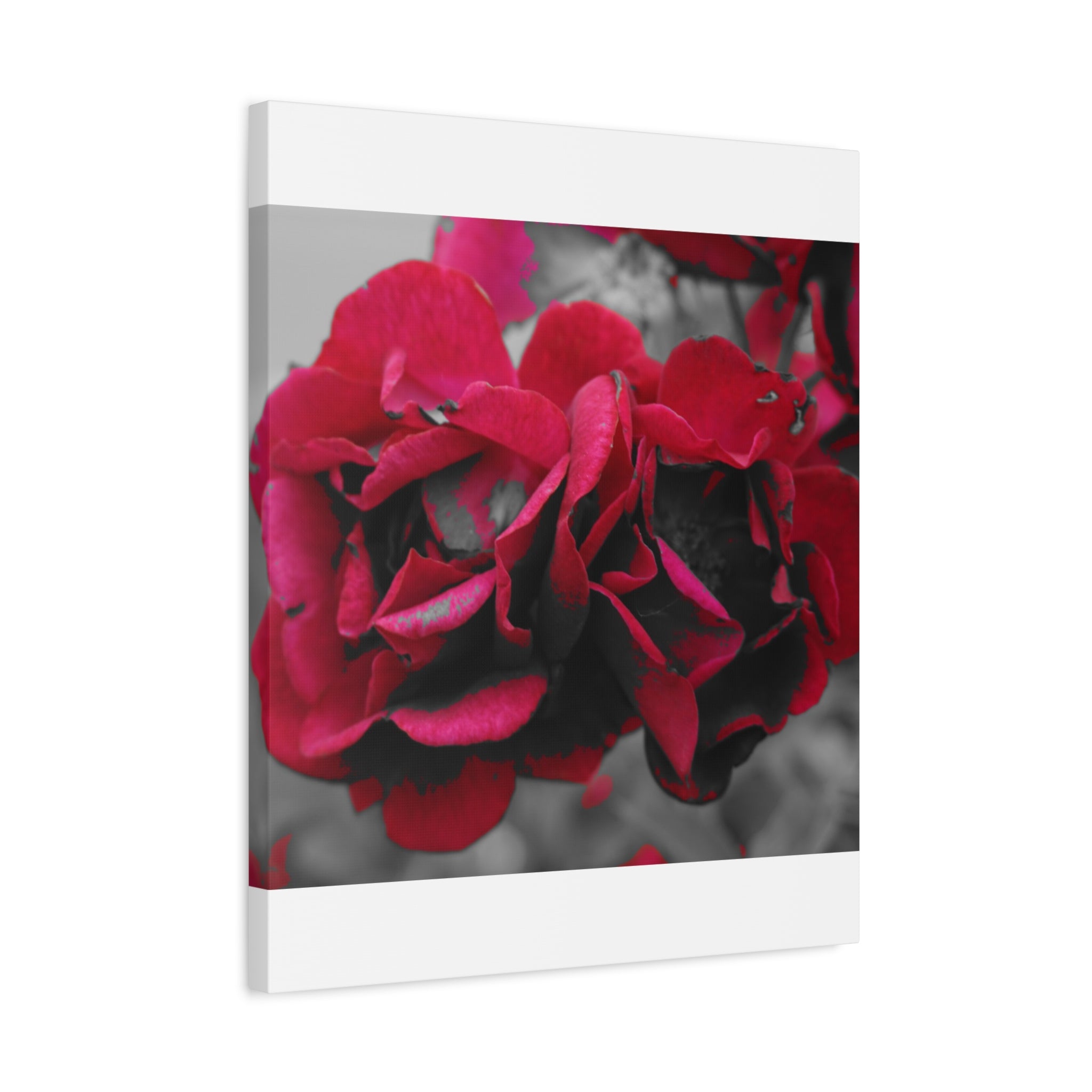 Red Rose Close-Up Matte Canvas Wall Art – Romantic Floral Stretched Canvas