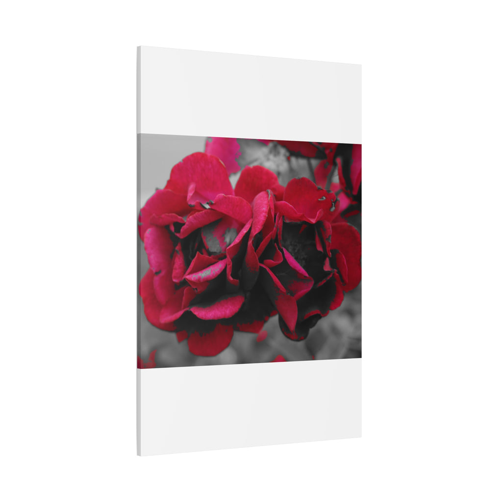 Red Rose Close-Up Matte Canvas Wall Art – Romantic Floral Stretched Canvas