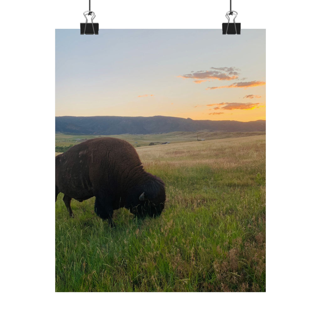 Bison at Sunset Matte Poster — Vertical Wildlife Wall Art