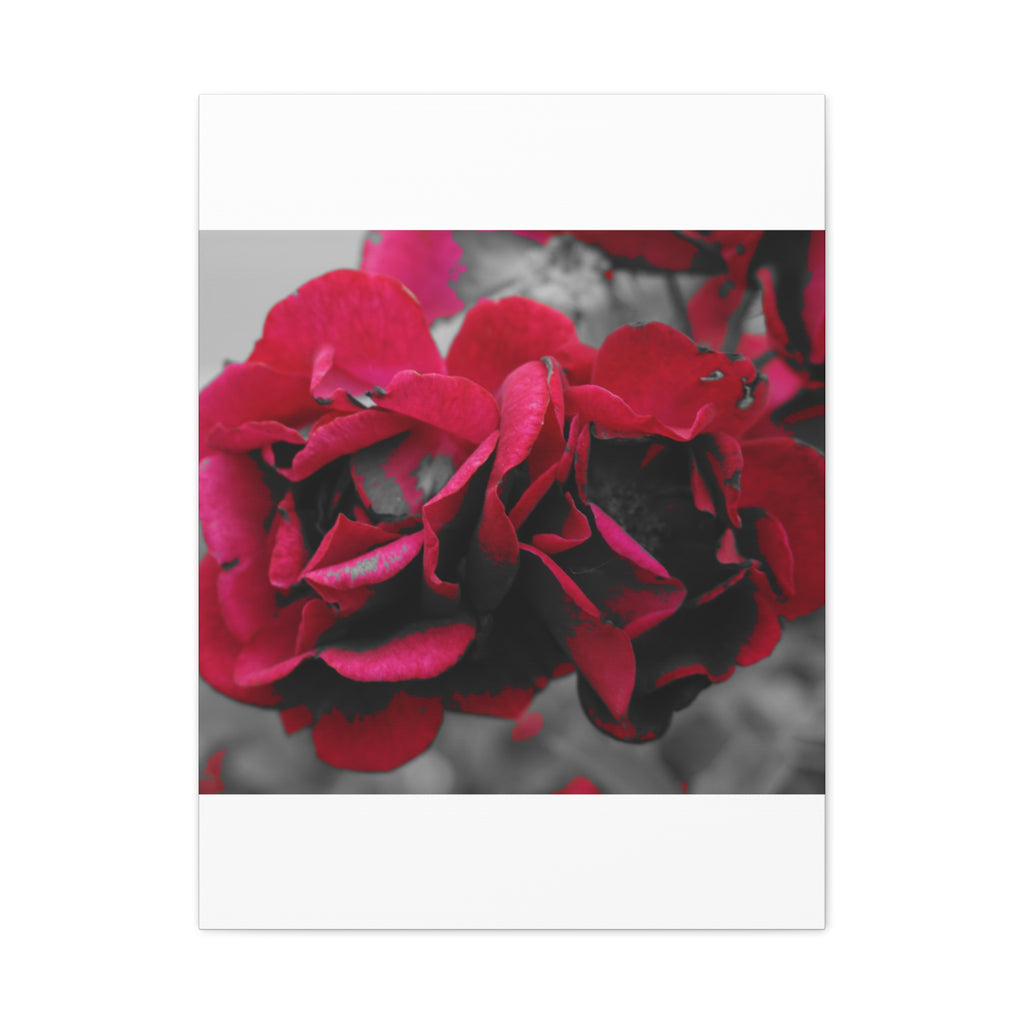 Red Rose Close-Up Matte Canvas Wall Art – Romantic Floral Stretched Canvas