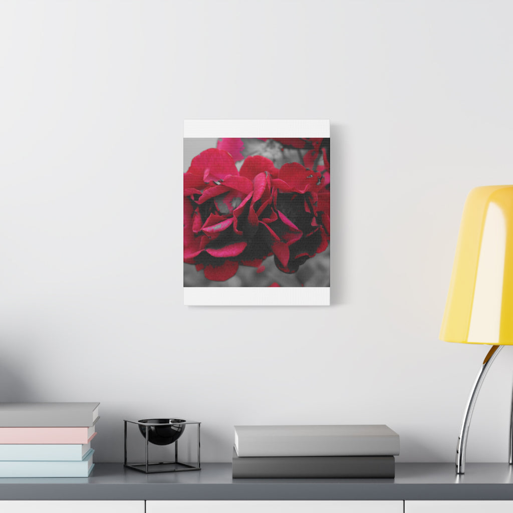 Red Rose Close-Up Matte Canvas Wall Art – Romantic Floral Stretched Canvas