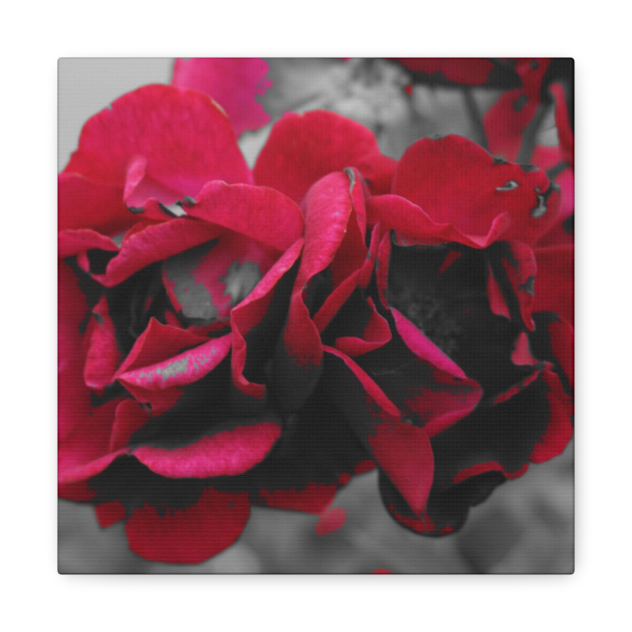 Red Rose Close-Up Matte Canvas Wall Art – Romantic Floral Stretched Canvas