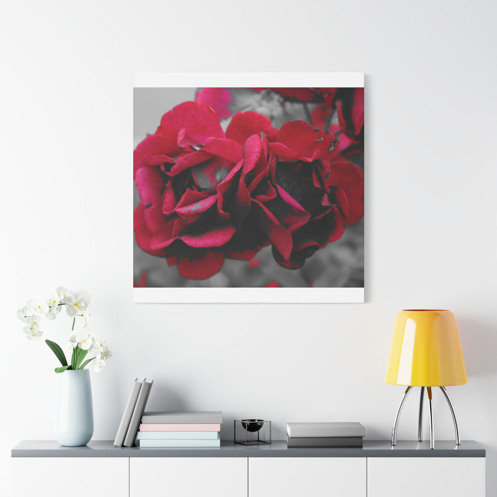 Red Rose Close-Up Matte Canvas Wall Art – Romantic Floral Stretched Canvas