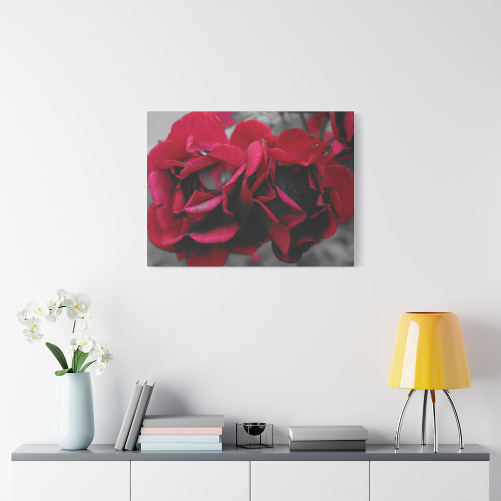 Red Rose Close-Up Matte Canvas Wall Art – Romantic Floral Stretched Canvas