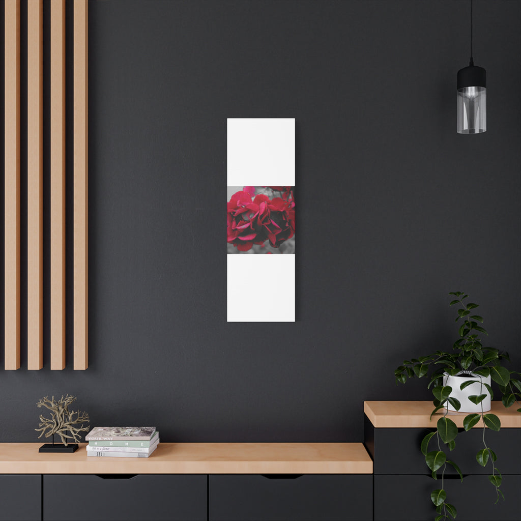 Red Rose Close-Up Matte Canvas Wall Art – Romantic Floral Stretched Canvas