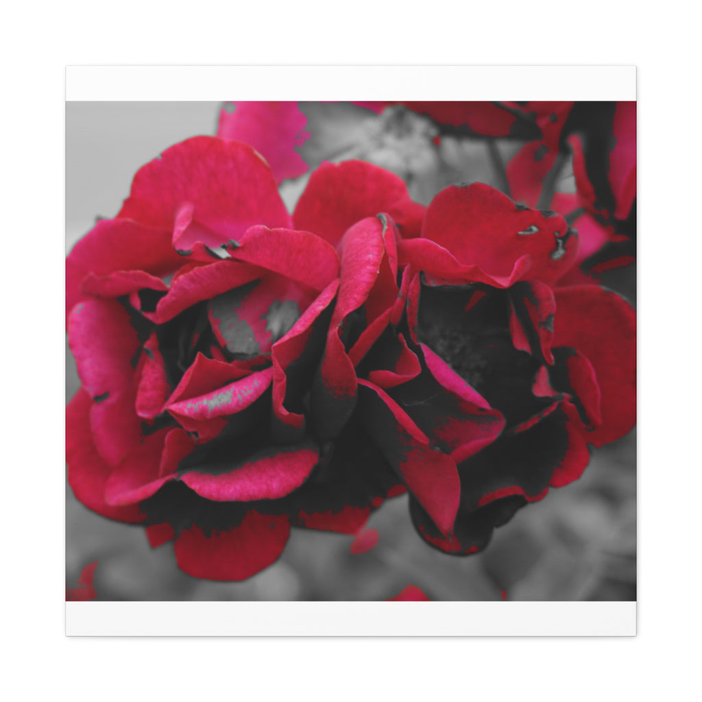 Red Rose Close-Up Matte Canvas Wall Art – Romantic Floral Stretched Canvas