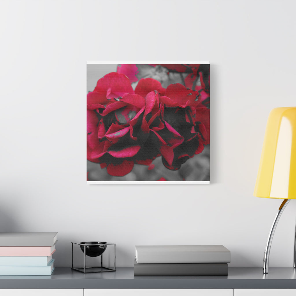 Red Rose Close-Up Matte Canvas Wall Art – Romantic Floral Stretched Canvas
