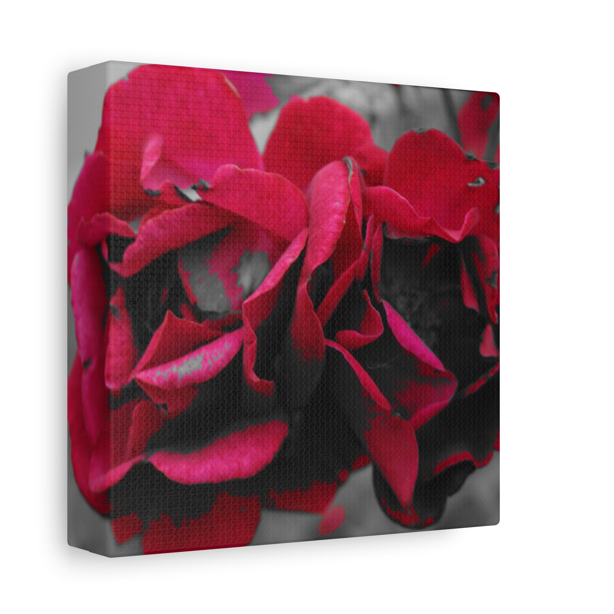 Red Rose Close-Up Matte Canvas Wall Art – Romantic Floral Stretched Canvas