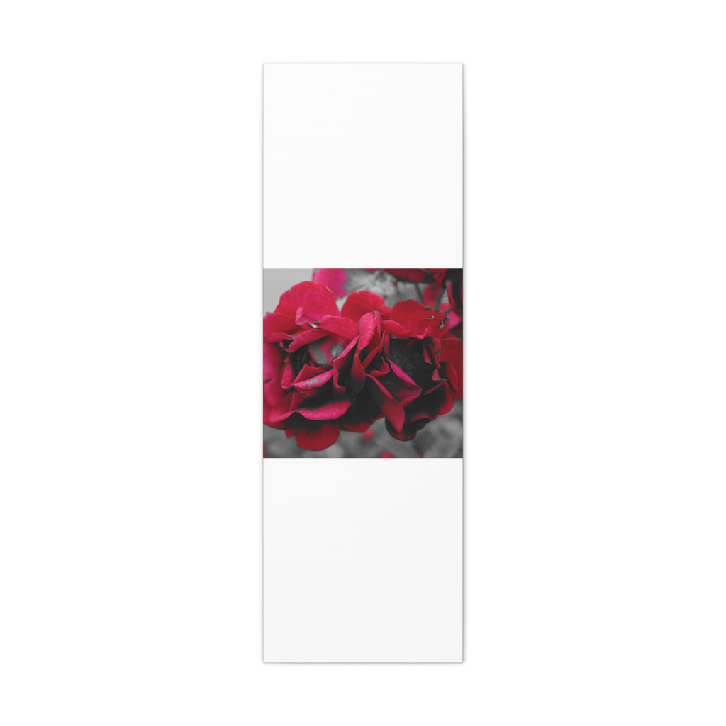 Red Rose Close-Up Matte Canvas Wall Art – Romantic Floral Stretched Canvas