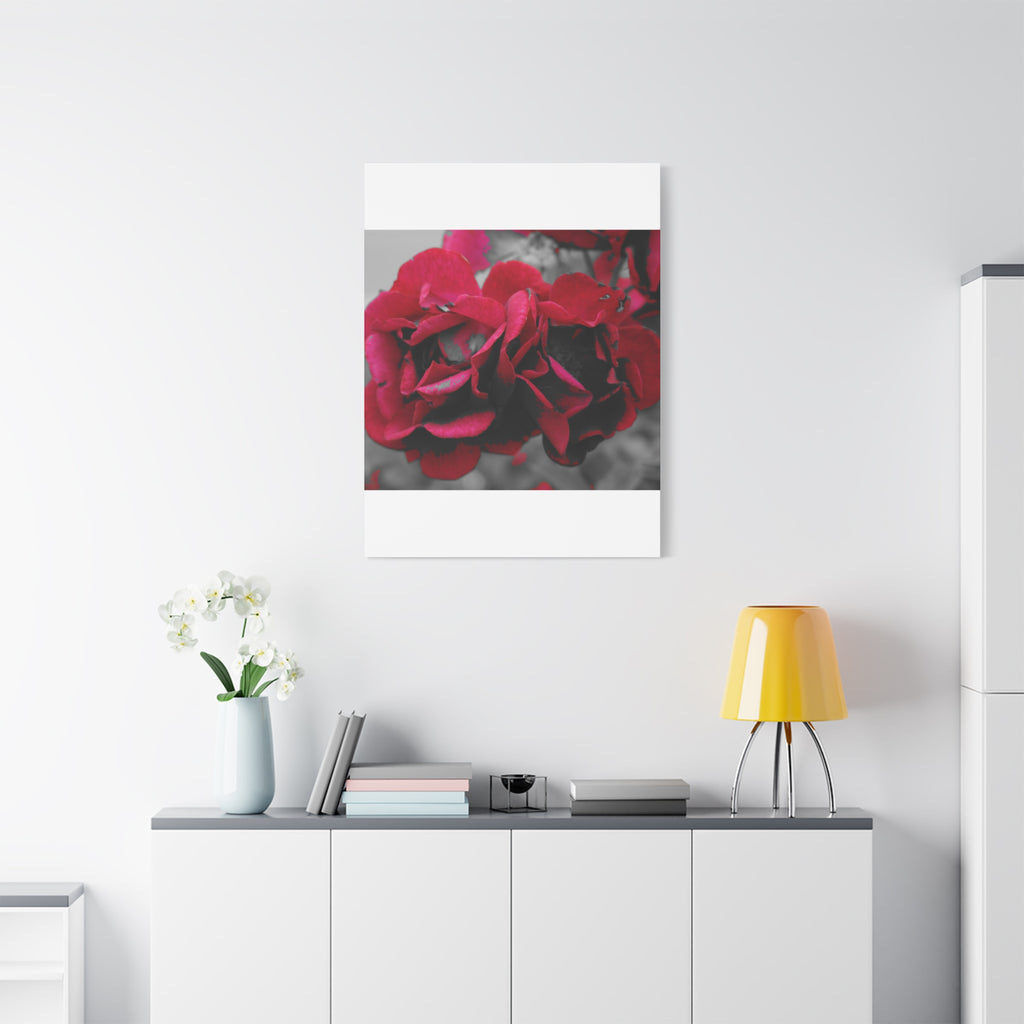 Red Rose Close-Up Matte Canvas Wall Art – Romantic Floral Stretched Canvas