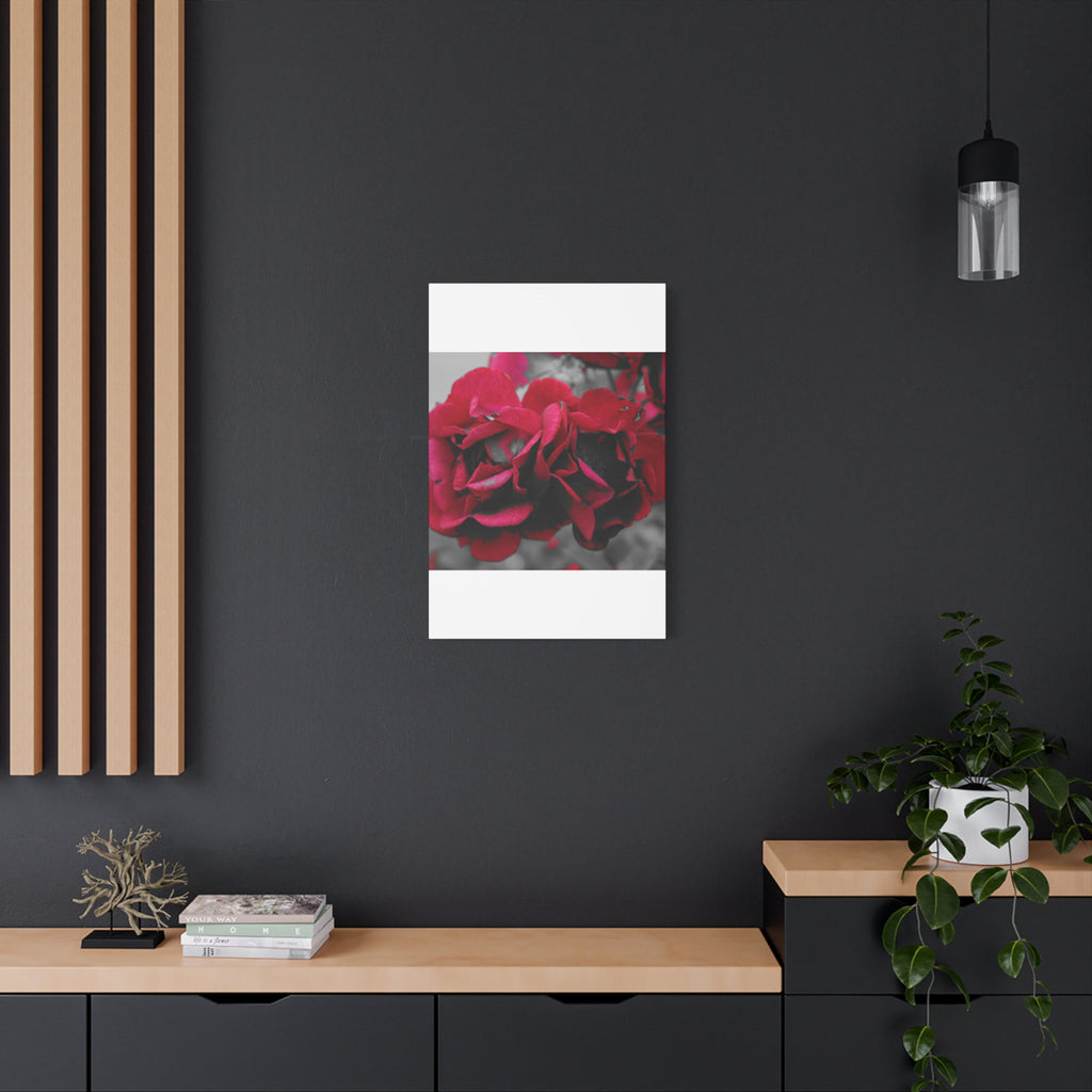 Red Rose Close-Up Matte Canvas Wall Art – Romantic Floral Stretched Canvas