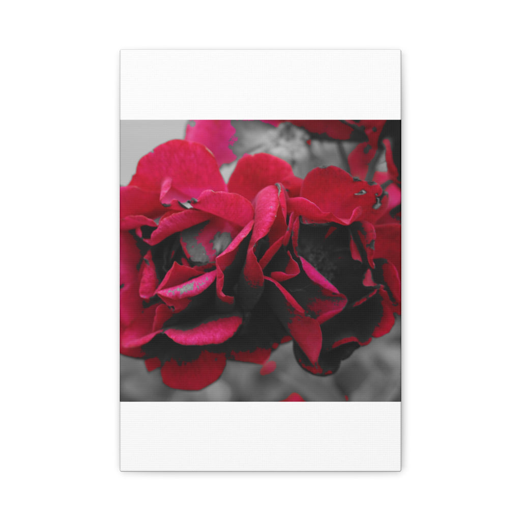 Red Rose Close-Up Matte Canvas Wall Art – Romantic Floral Stretched Canvas