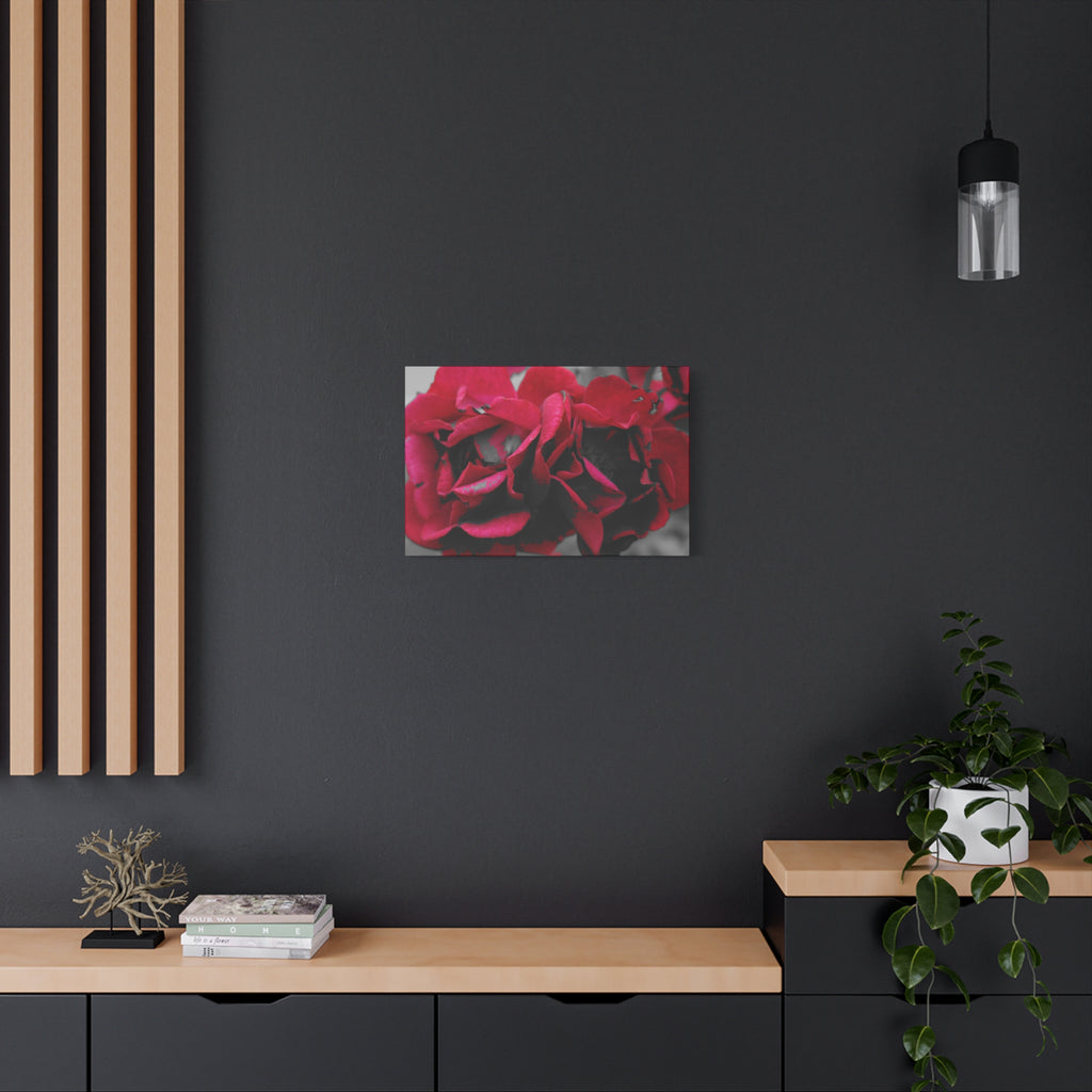 Red Rose Close-Up Matte Canvas Wall Art – Romantic Floral Stretched Canvas