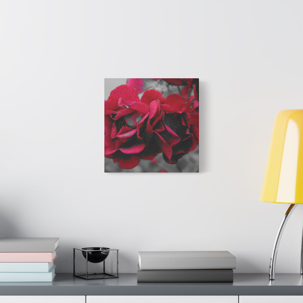 Red Rose Close-Up Matte Canvas Wall Art – Romantic Floral Stretched Canvas