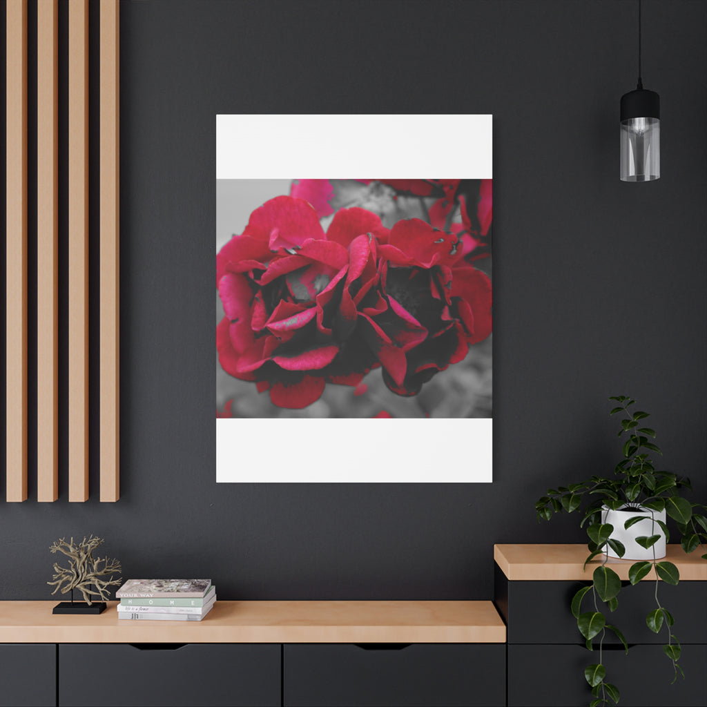 Red Rose Close-Up Matte Canvas Wall Art – Romantic Floral Stretched Canvas